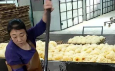 银耳厂小姐姐,揭秘银耳产业的魅力与匠心
